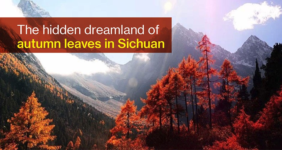 The hidden dreamland of autumn leaves in Sichuan